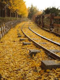 leaves on rails